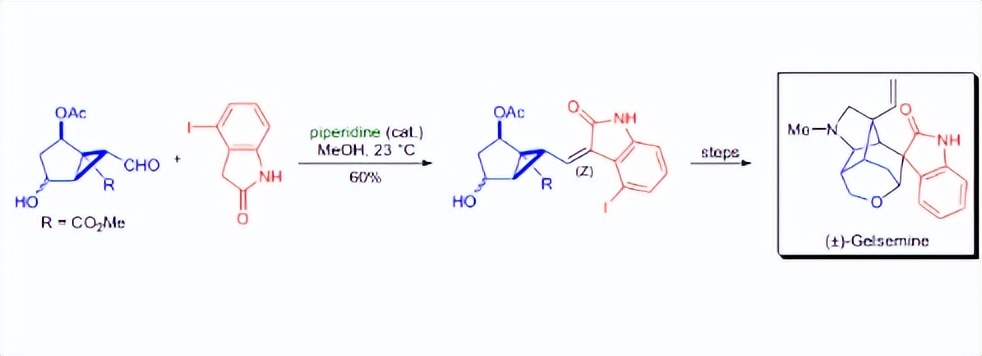 壳聚糖膜的制备流程,壳聚糖制备保鲜膜