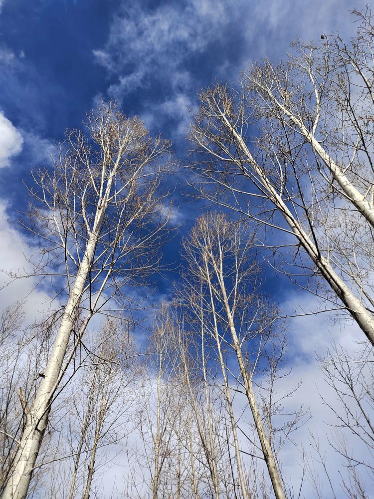 探秘东方女儿国,东方女儿国泸沽湖完整视频