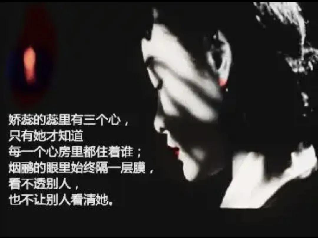 红玫瑰与白玫瑰低到尘埃里的爱情,红玫瑰白玫瑰都是心头的刺