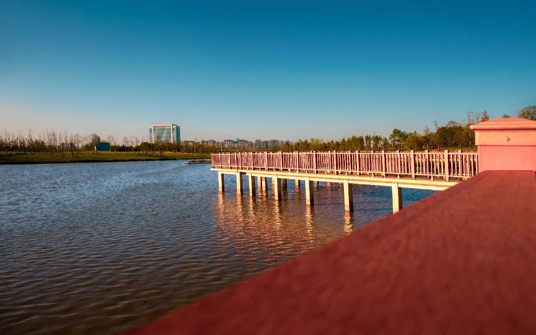 一座“追光”之城背后的软实力