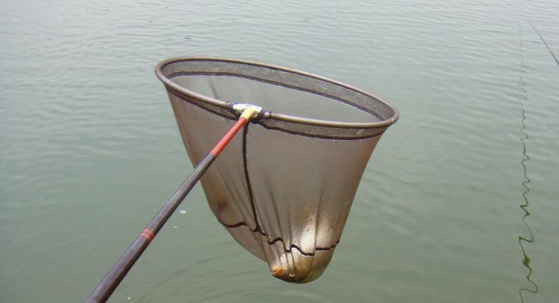 目前哪个的商品饵比较好用,哪款商品饵搭配最好用