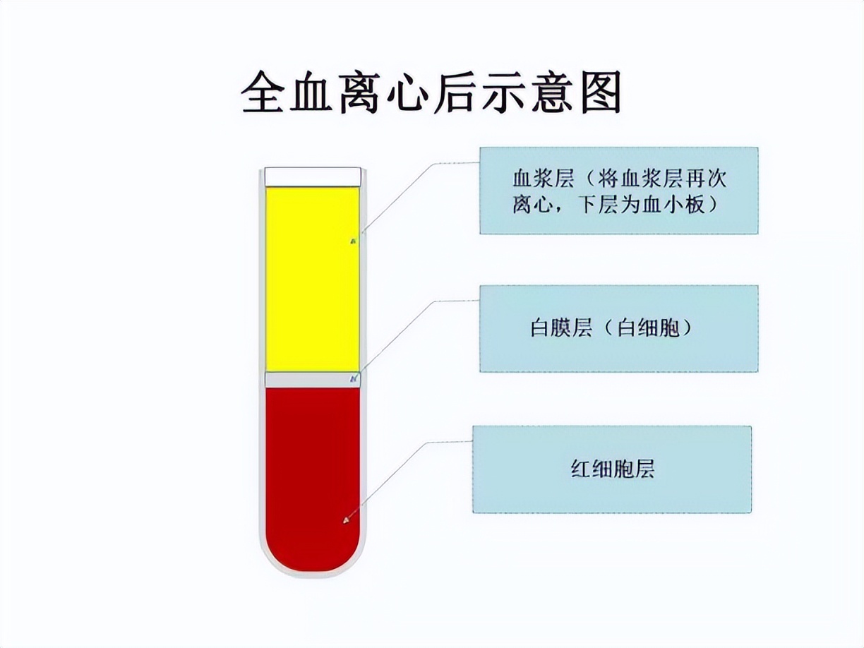 日本自卫队对华战略,日本自卫队与美国陆军联合演习