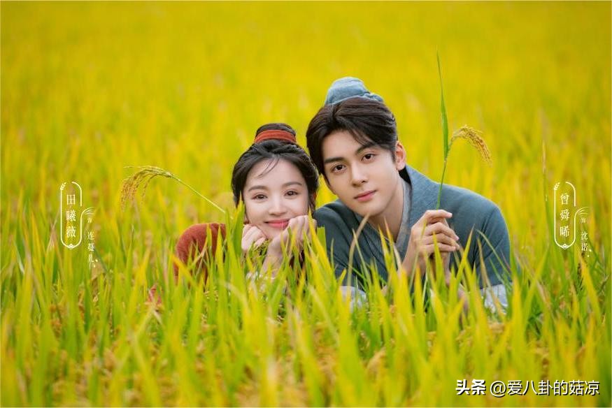 古装剧卿卿日常定档,和卿卿日常又好笑又好看的古装剧