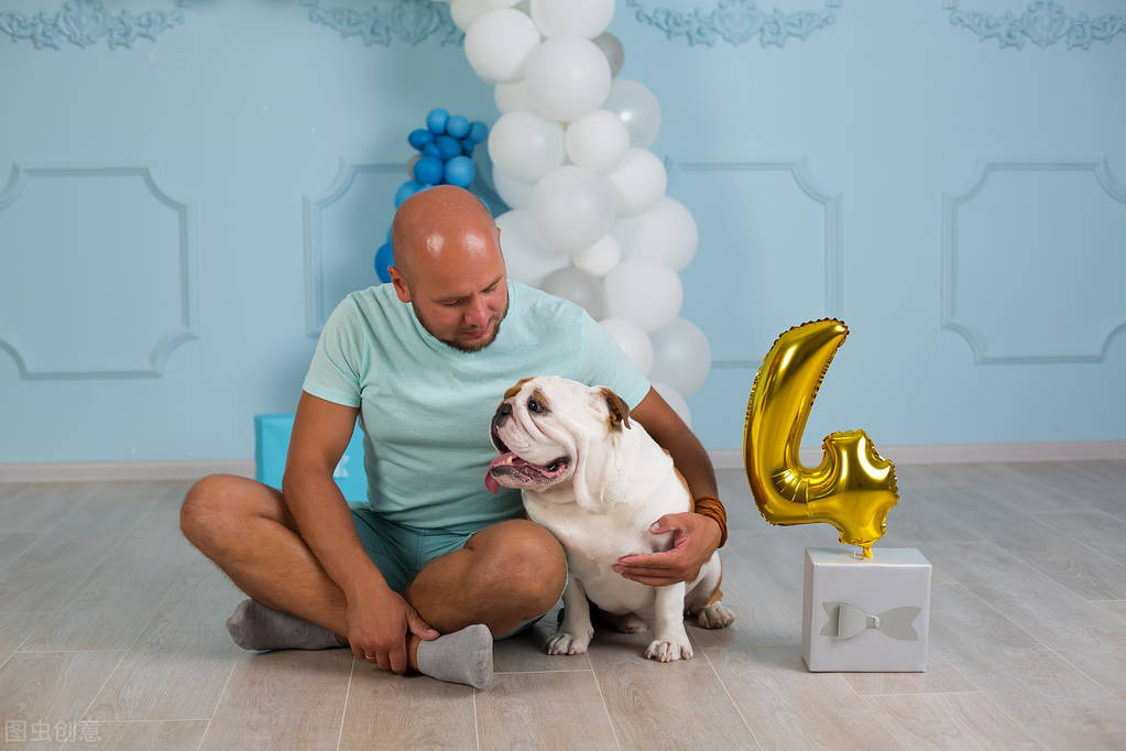 宠物应激如何预防降低应激反应,宠物应激不要慌教你如何应对