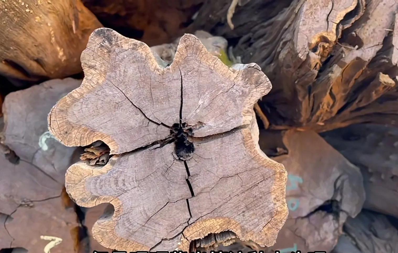 世界上密度最高的红木,红木界的三大贡木