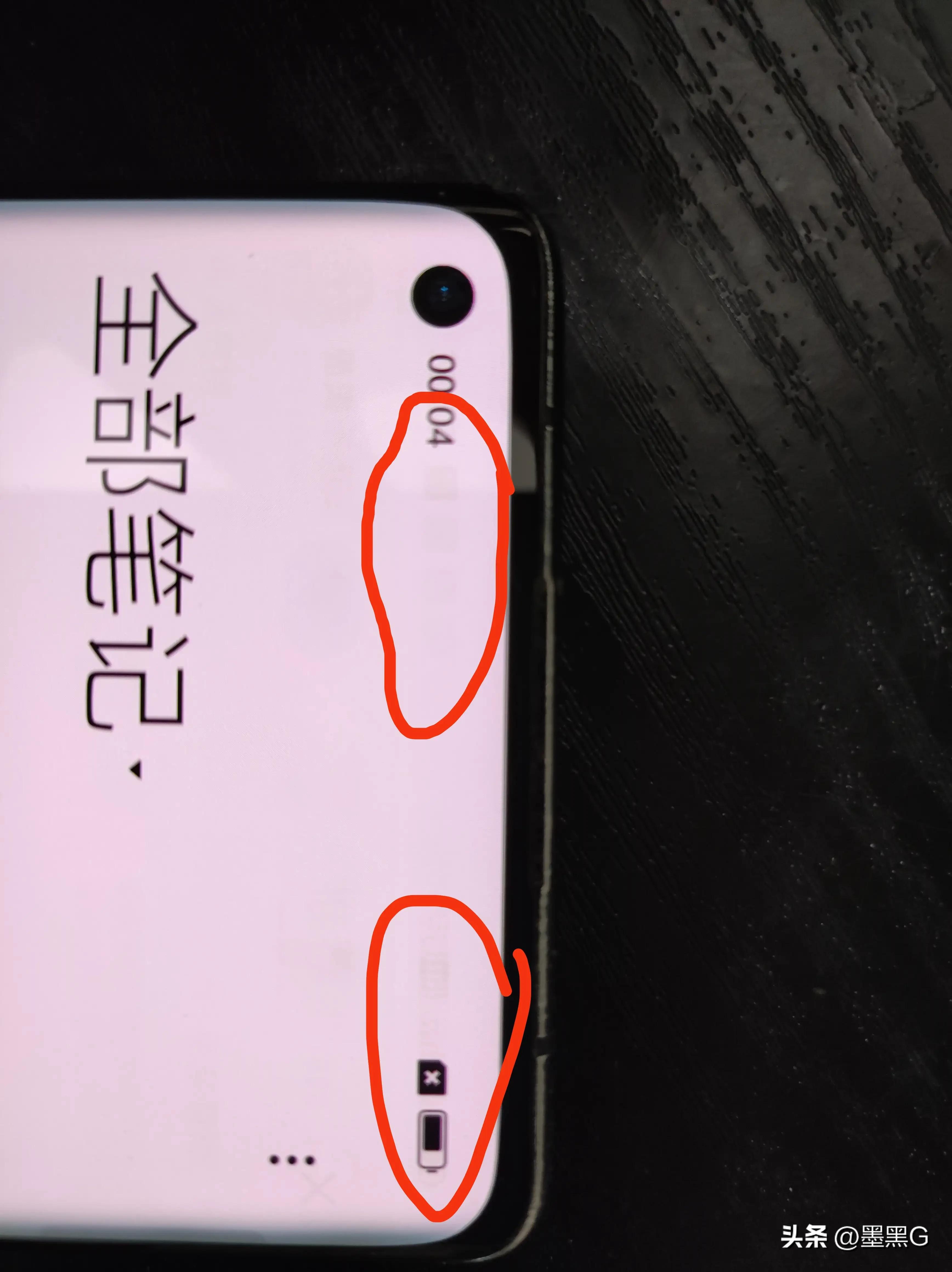 闲鱼和闲鱼是一个平台吗,闲鱼上的闲鱼怎么样