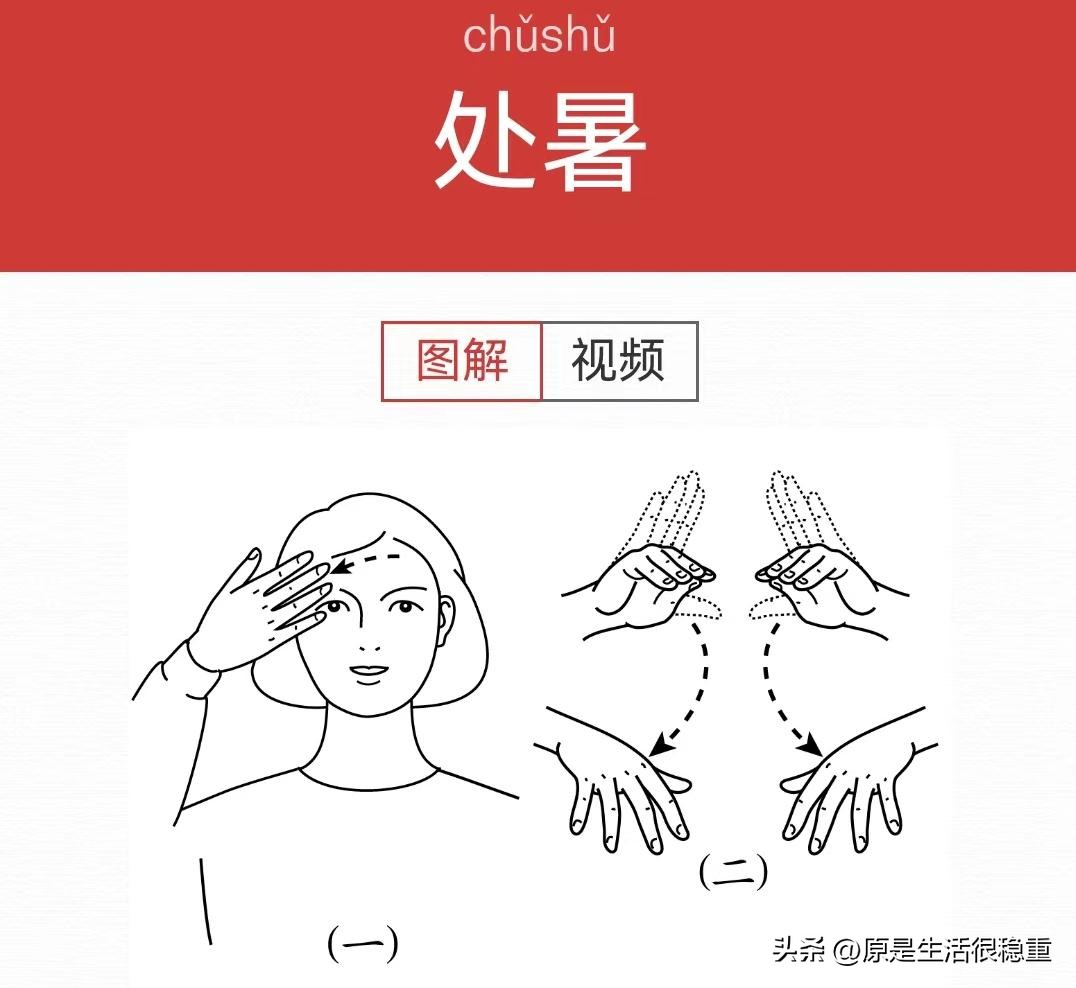 用手说话|今日学习手语——节气的第三部分