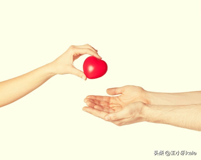 iphone14promax芥末红,购买iphone14promax的理由