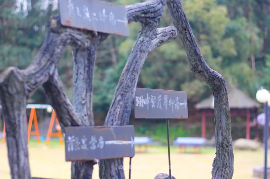 长沙攻略非热门,长沙旅游攻略免费存行李