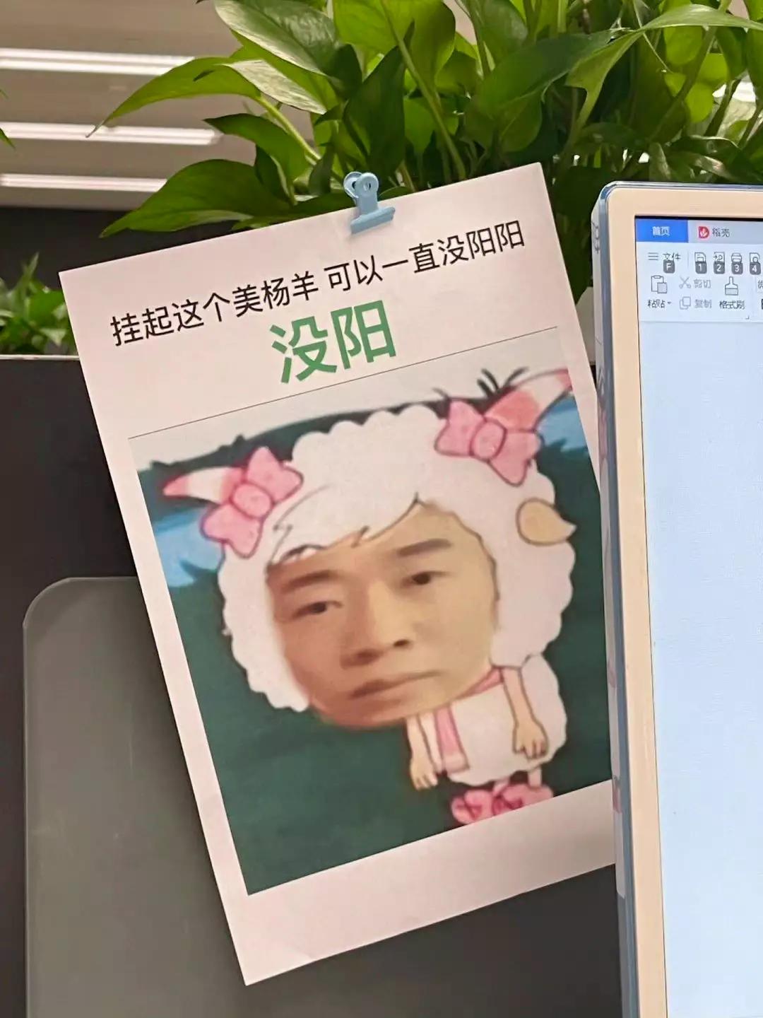 杨迪是真的表情包,杨迪表情包汇总