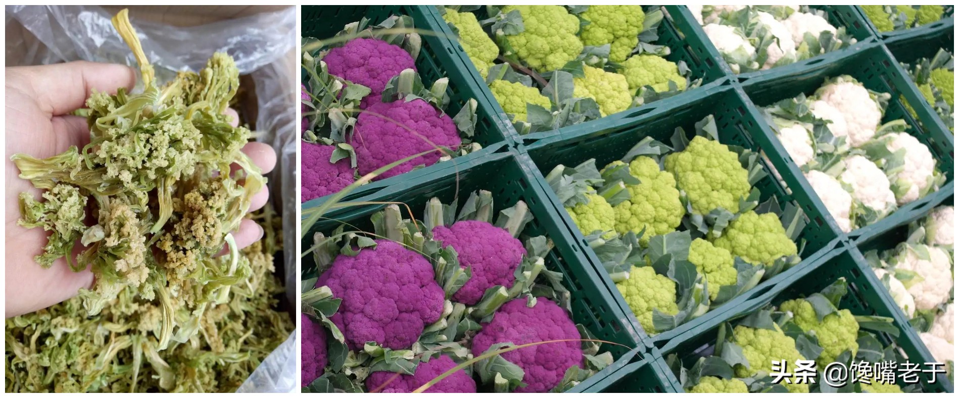 五种蔬菜晒干后比新鲜的还好吃,哪种蔬菜晒干了比新鲜的好吃