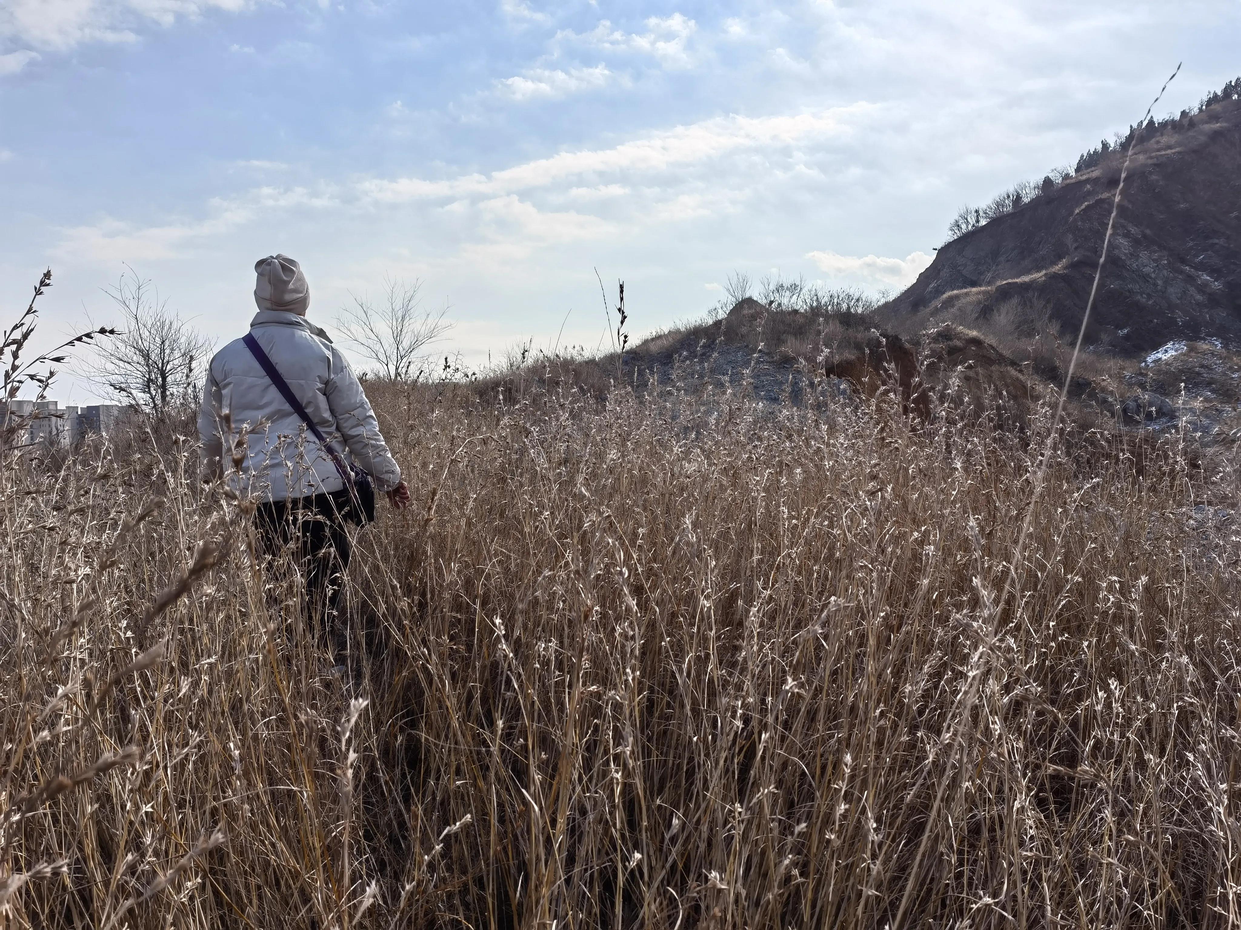 辽宁长城遗址最新消息,辽宁明长城遗址