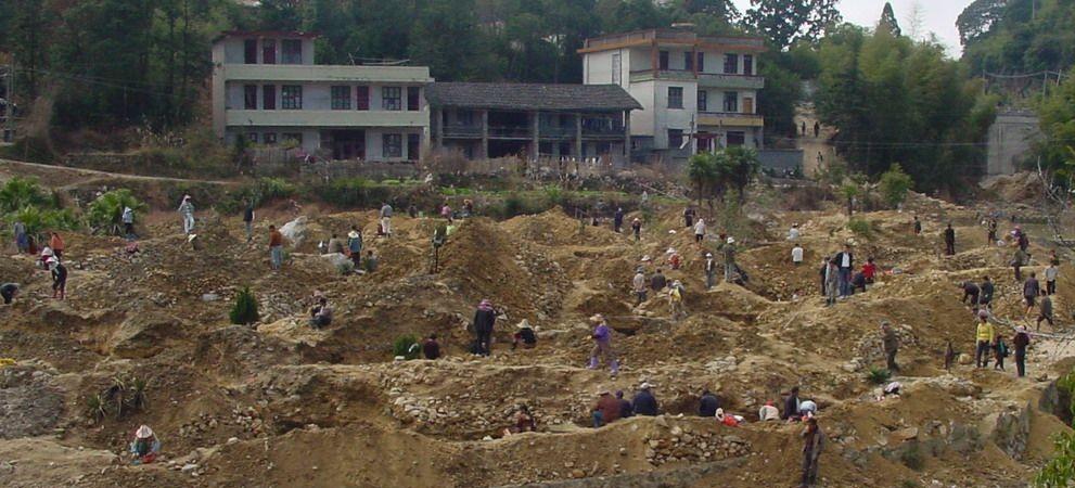 挖到九斤田黄,寿山村挖出九斤田黄