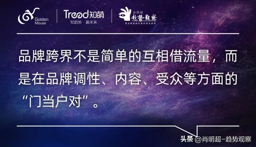 2019金鼠标营销,金鼠标网络营销案例