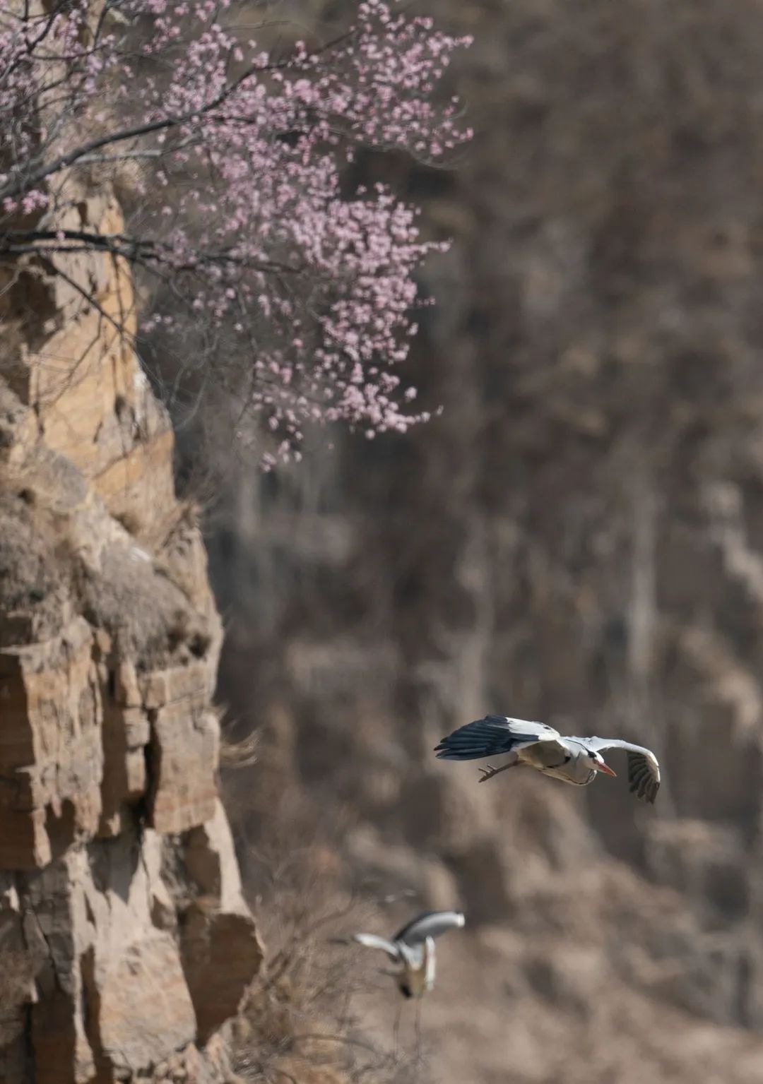 迎接党的20大美术作品,喜迎二十大乡村摄影展