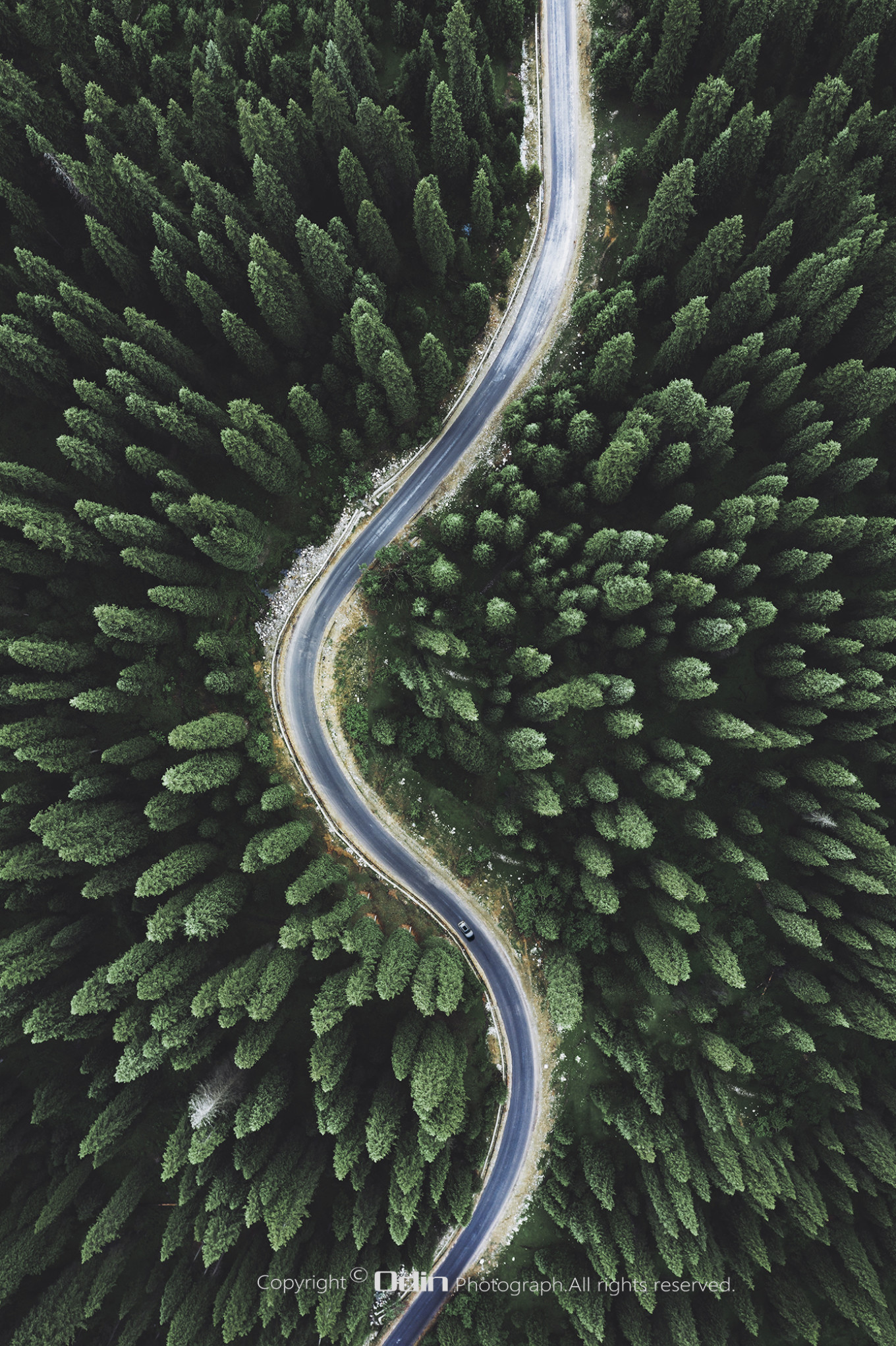 新疆伊犁之美,走了一圈才发现世界万物远不及你