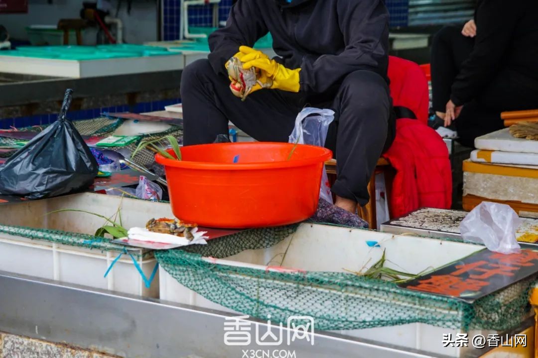 珠海专门吃海鲜地方,珠海海鲜市场吃海鲜哪里便宜