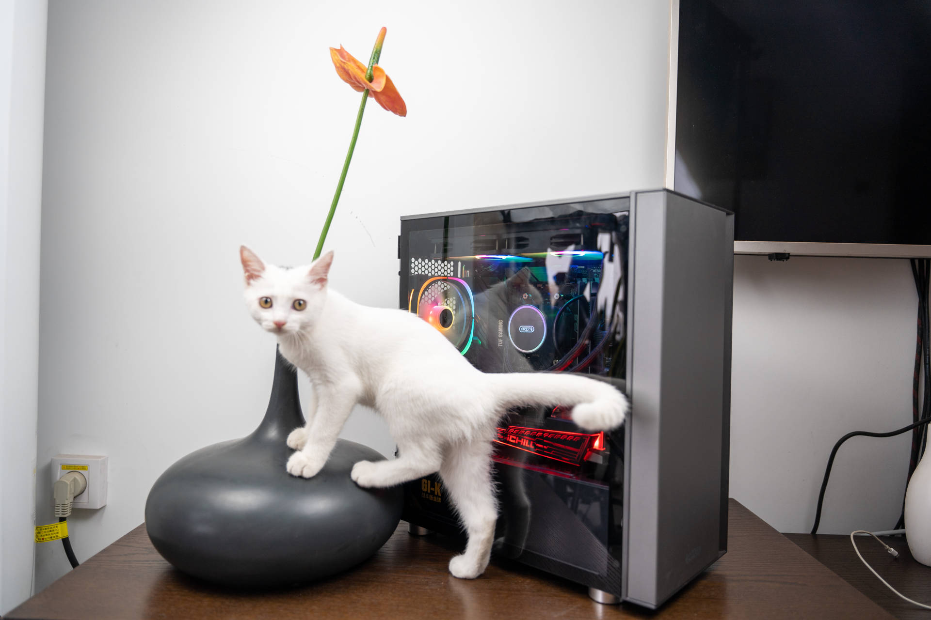 我就是小趴菜，又菜又爱玩！谁劝也不听的那种—矿卡我来了