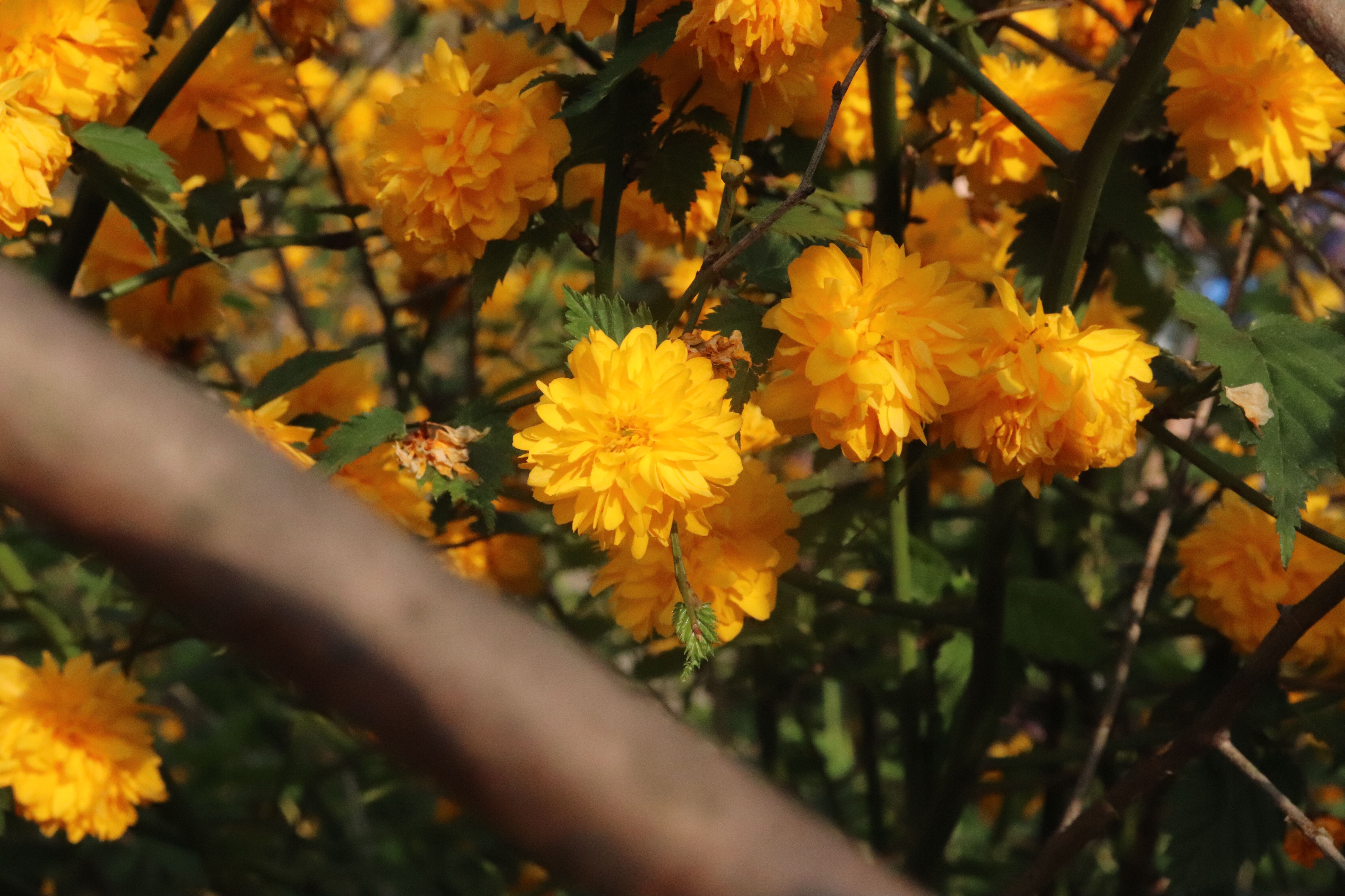 中烟厂工资待遇怎么样,浙江中烟工业有限公司待遇