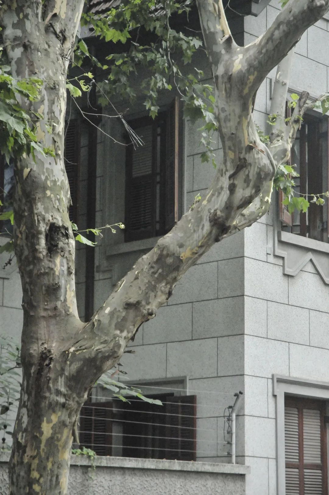 上海思南公馆别墅,上海思南公馆