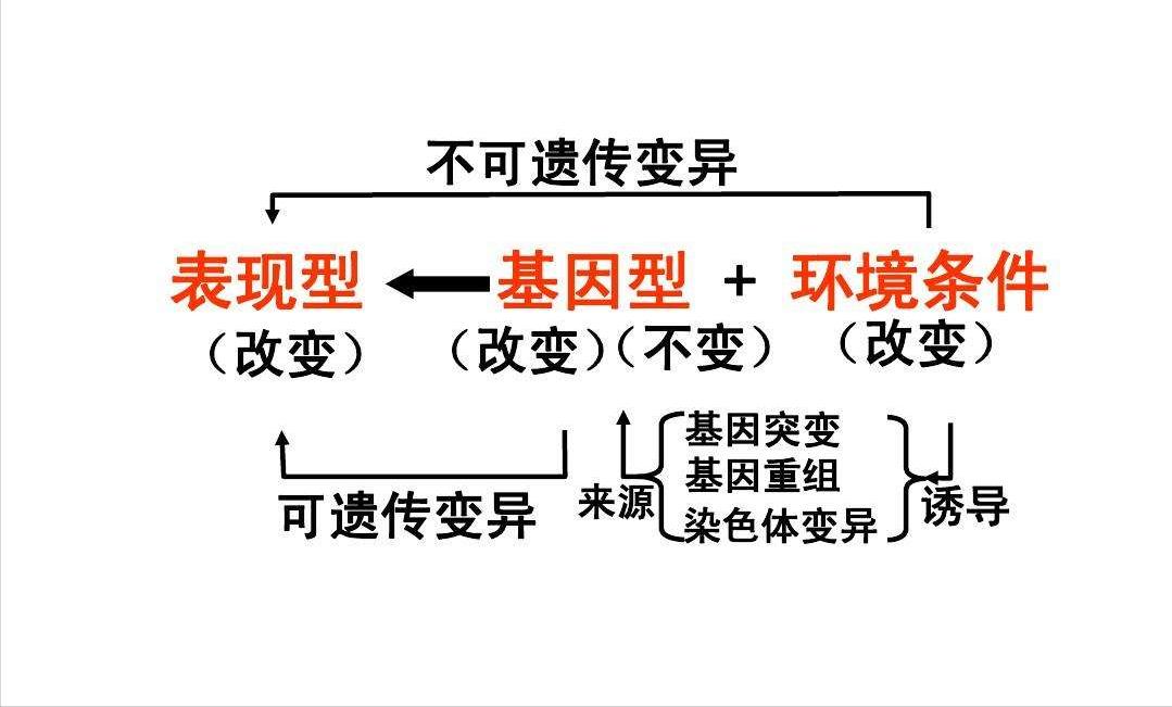 人类进化后失去体毛留下头发,人类怕冷为啥不会进化出毛发