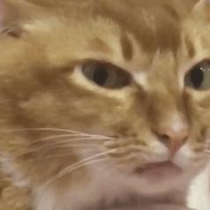 当年恃靓行凶的李嘉欣,李嘉欣恃靓行凶现在怎么样了