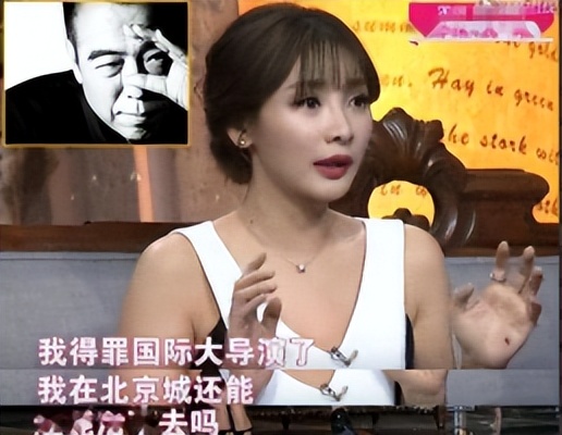 如何看待陈凯歌对柳岩发怒,陈凯歌怒斥柳岩