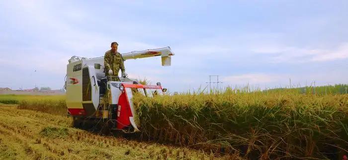 农民的职称有用吗,农民职称申报有什么用