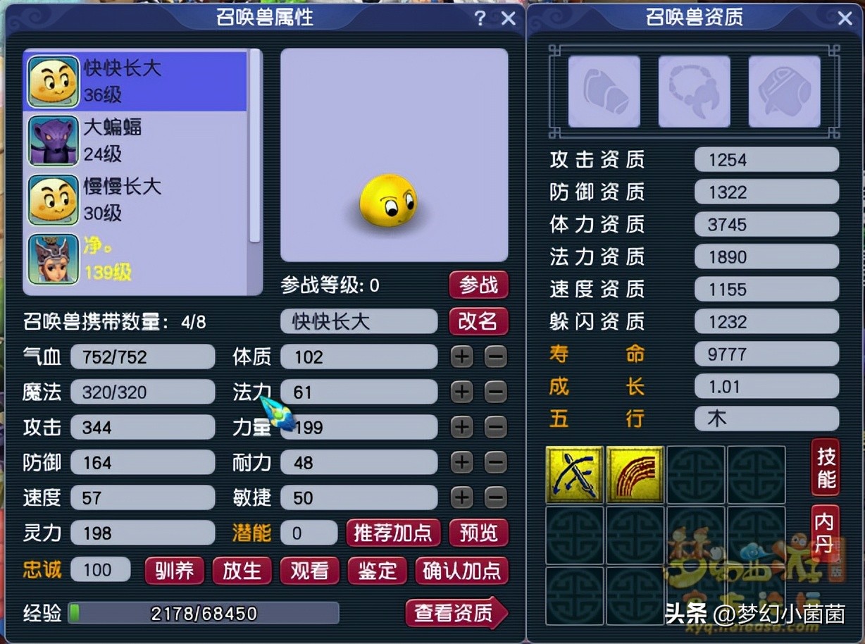 梦幻西游手游化生寺攻略大全新手,梦幻西游新手买了175空号怎么玩