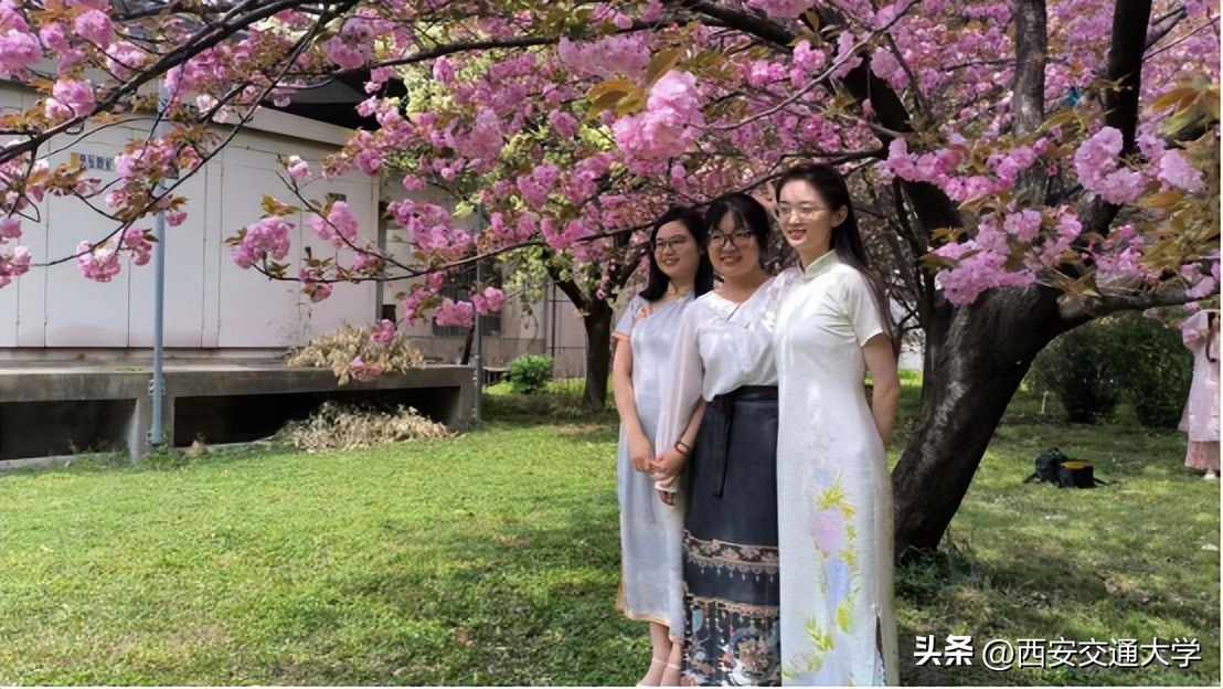 “春见”仙交，樱寄情思