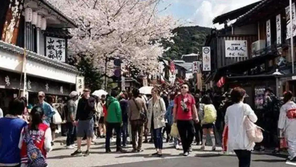 为什么日本实体店不受电商冲击,为什么日本实体干倒电商