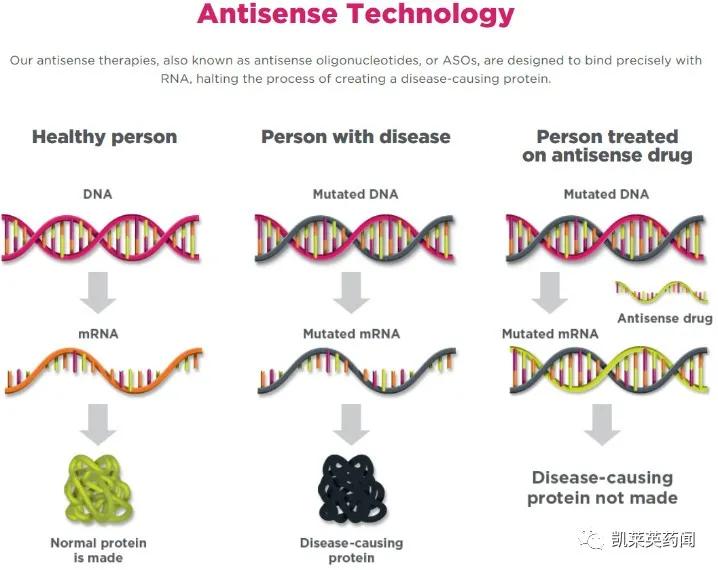 35.85亿美元，阿斯利康与Ionis共同开发Eplontersen