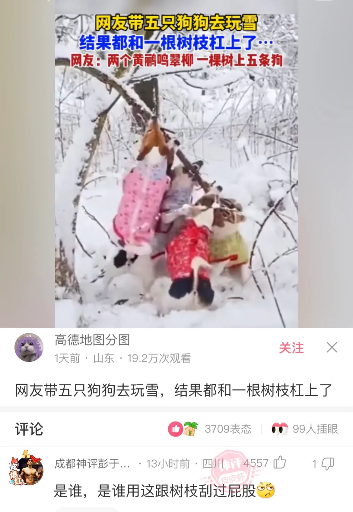 精选搞笑图片与搞笑段子绝对爆笑,谁才是真正的高手搞笑图片