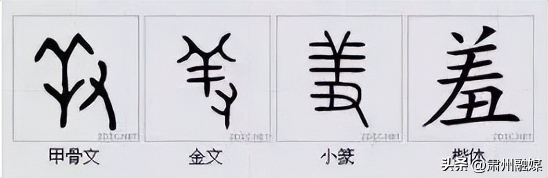 水平极高的演讲太精彩了,十大顶级经典演讲完整版