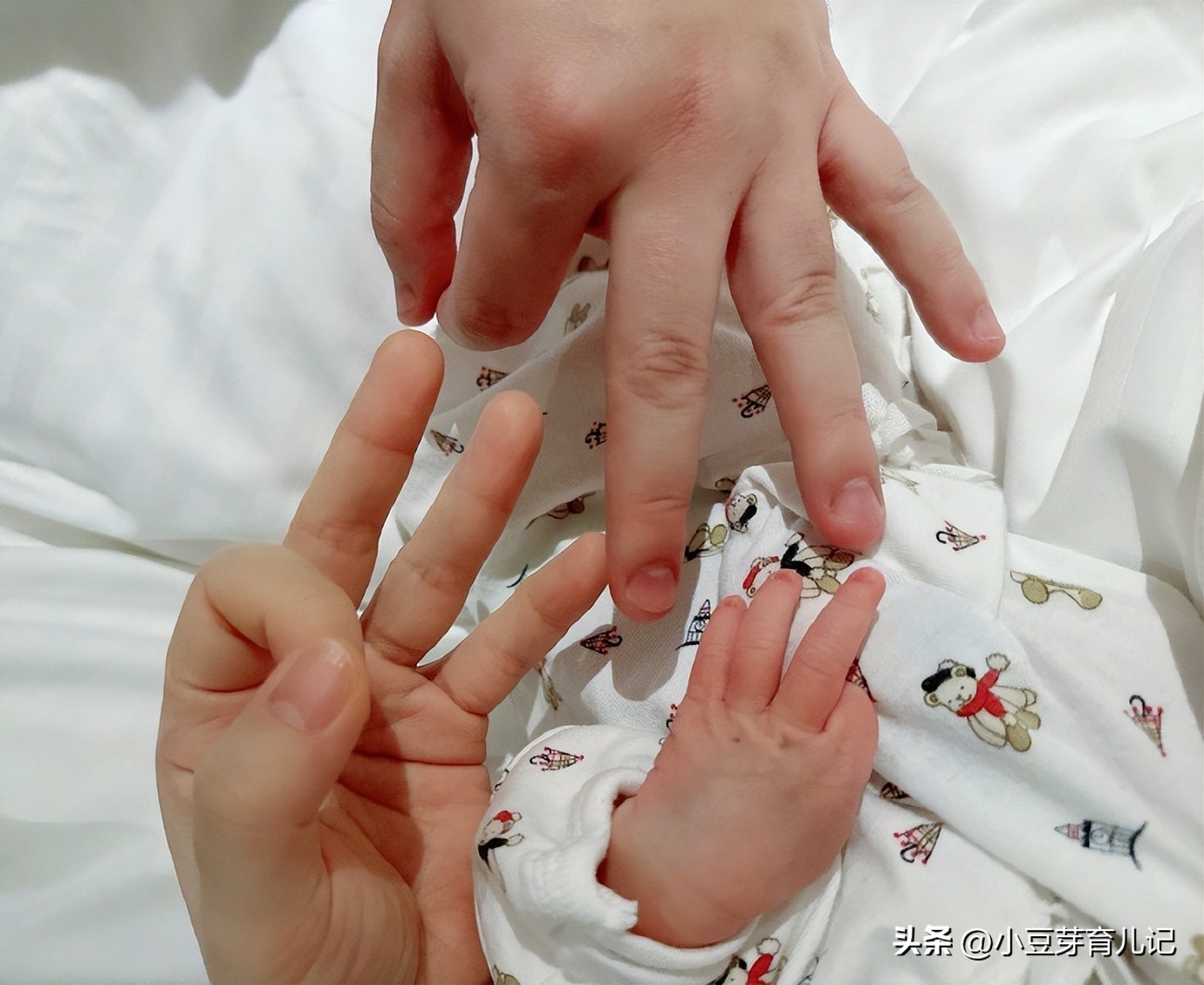 任家萱产子图片,任家萱二胎怀孕了吗