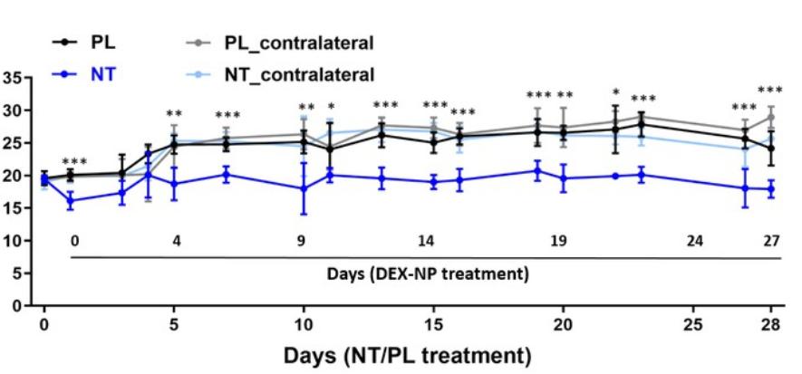 rho激酶抑制剂多少钱,rho激酶抑制剂是什么