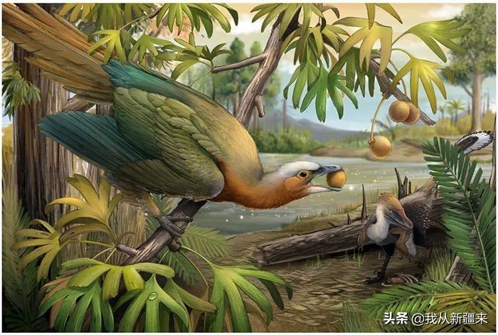 新疆哈密翼龙,天山哈密翼龙