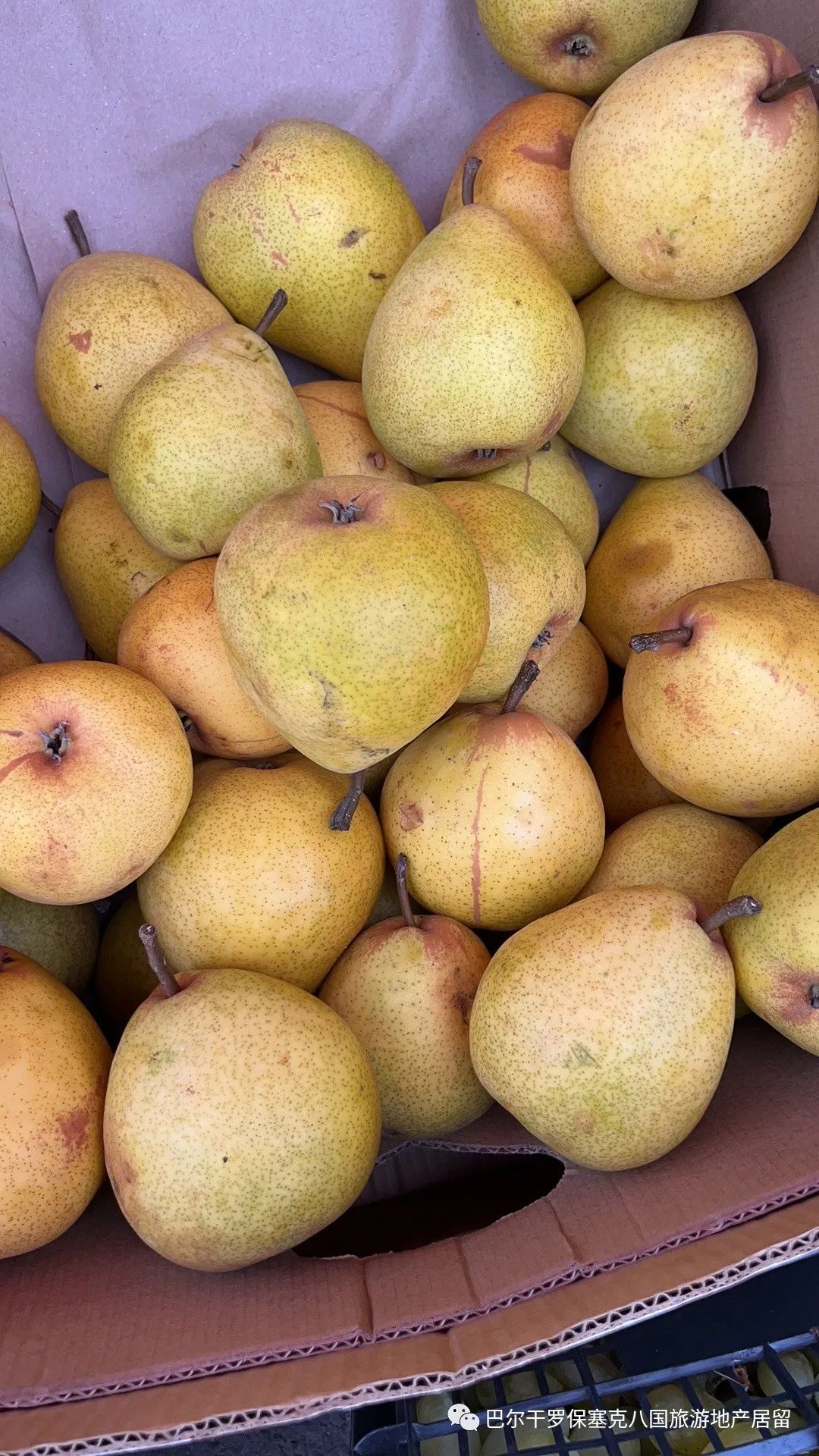 罗马尼亚蔬菜,罗马尼亚大型水果批发市场