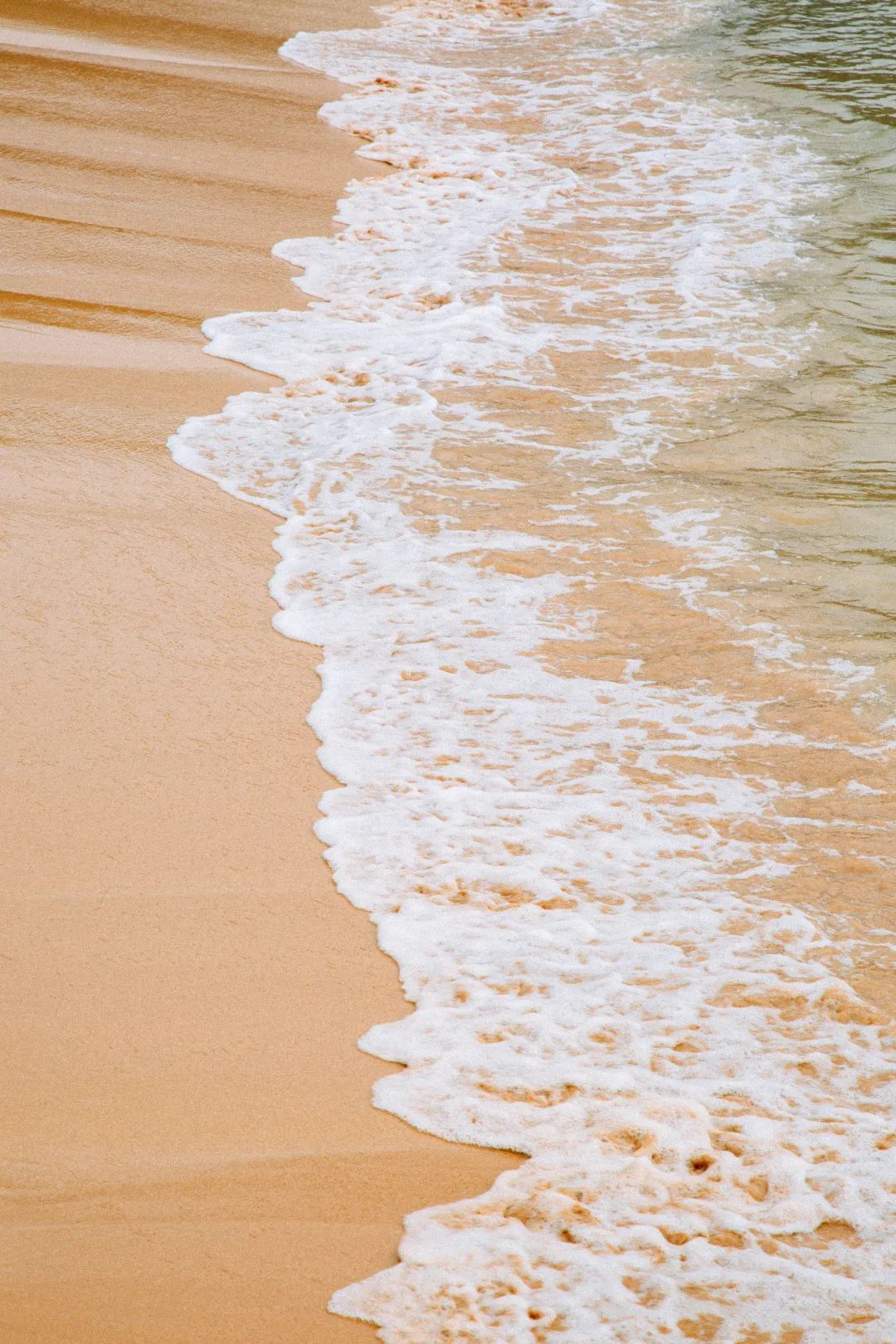 珠海东澳岛2天1晚保姆级旅游攻略,广州到澳门珠海2日游攻略