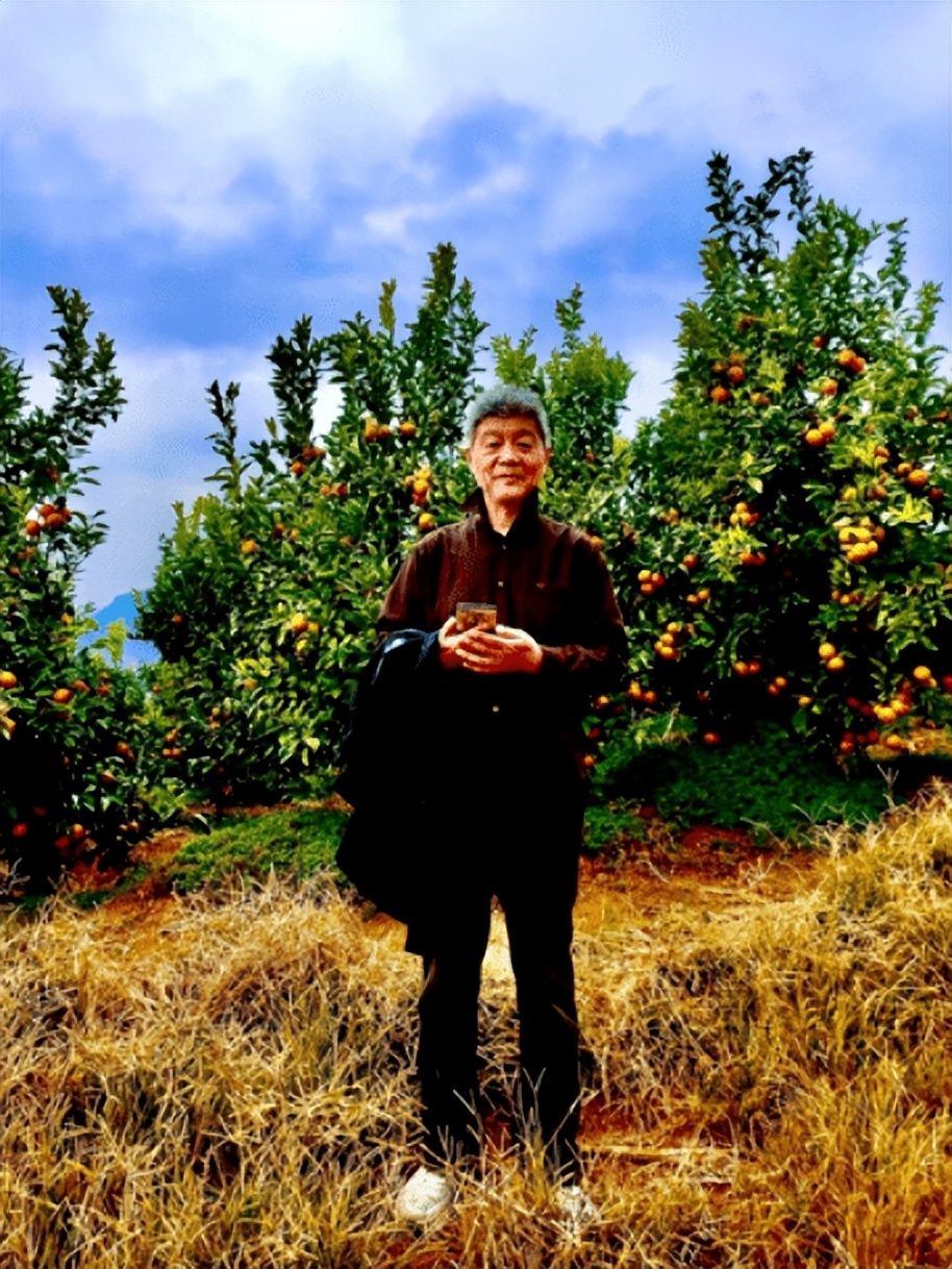 鏁f枃鑸媿,鏁f枃绔欏湪灞遍《閬ユ湜骞冲師