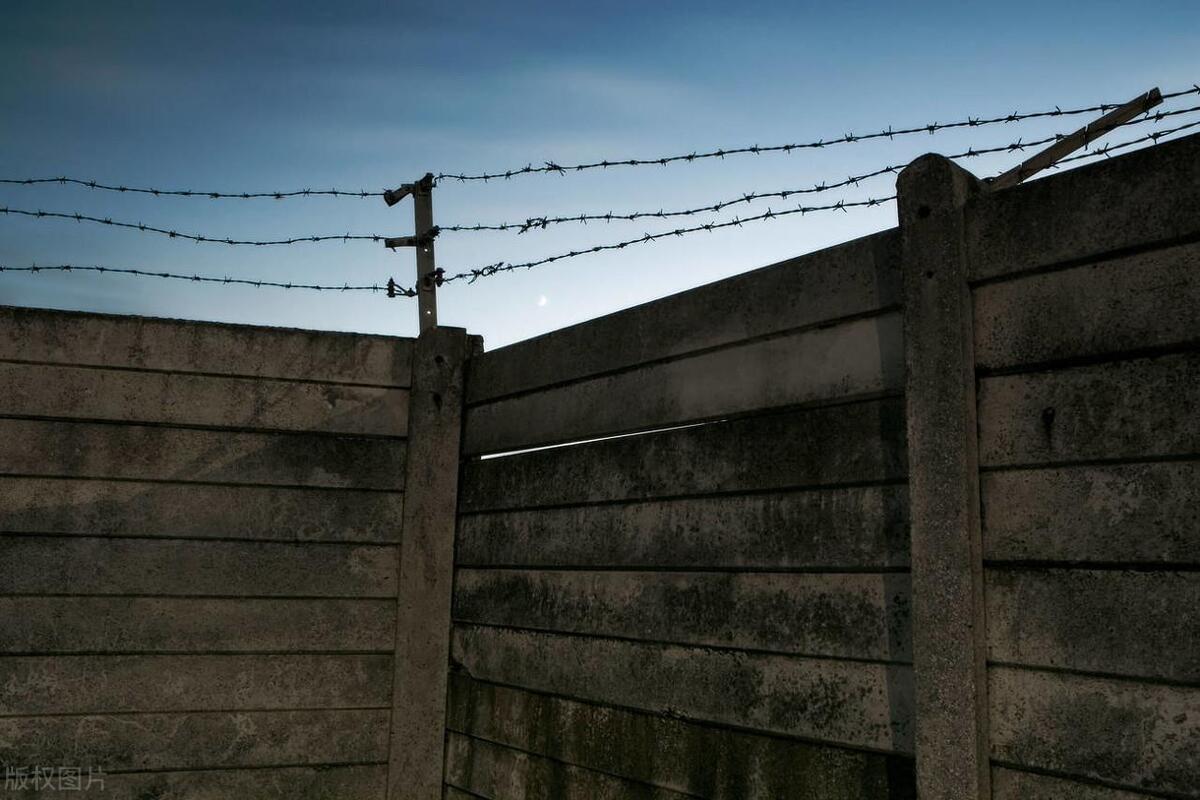 刑事拘留是违刑法了吗,刑事拘留的法律依据是怎么样的呢