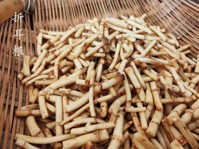 旅行贵州旅游攻略,旅游十几天贵州