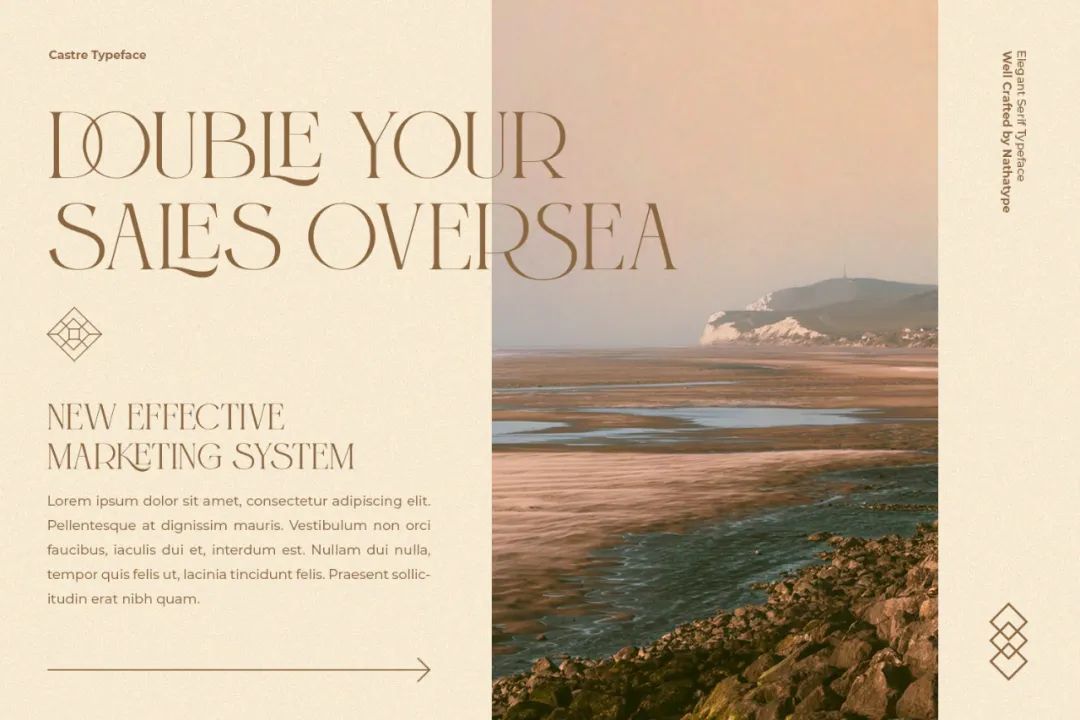 ttf纯英文好看字体,ttf英文字体