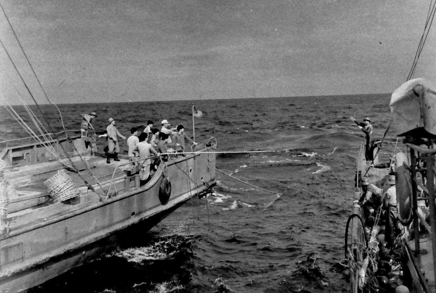 渔民捕到7斤大黄鱼卖出4万多元,渔民一网捕近5000斤野生大黄鱼