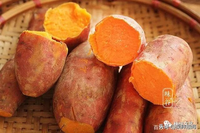 赵长生完整版免费阅读,赵长生短视频