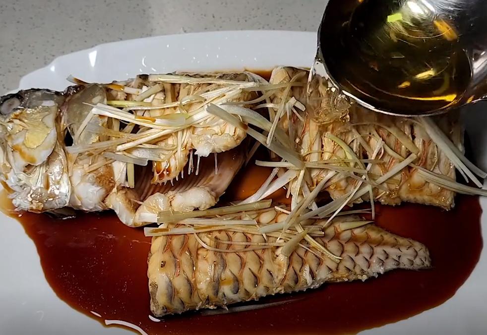 男子养的金龙鱼死亡,男子养了3年的银龙鱼死亡