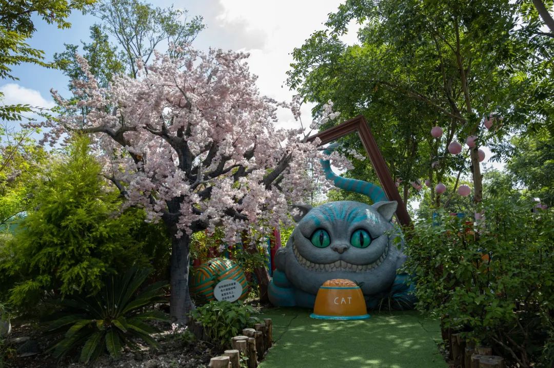 魔都春季游玩,魔都6月游玩地合集