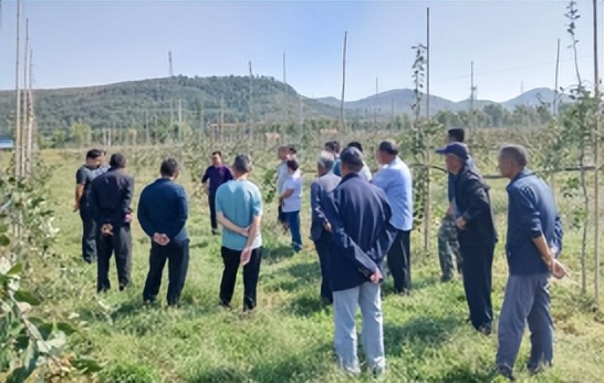 群众增收致富项目,群众增收企业创收税收