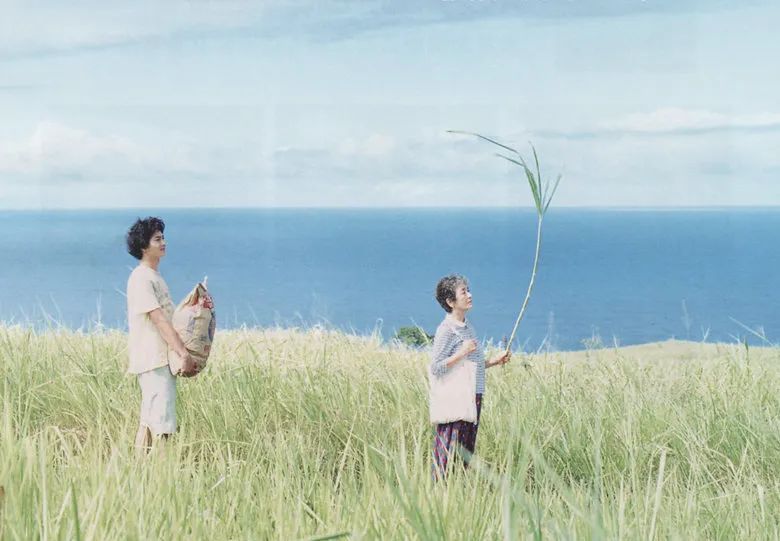 2020年的56个瞬间,我见过一场海啸