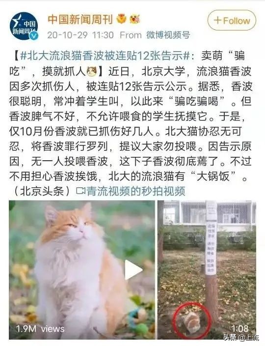 被黑天鹅打得措手不及,学校黑天鹅被学生拿